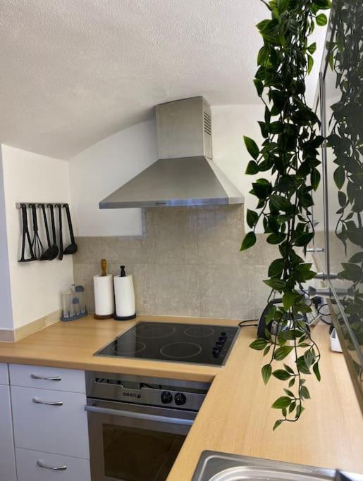 Spacious Flat In The Most Desirable Area Of London Ngoại thất bức ảnh