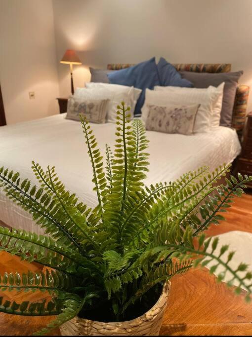 Spacious Flat In The Most Desirable Area Of London Ngoại thất bức ảnh